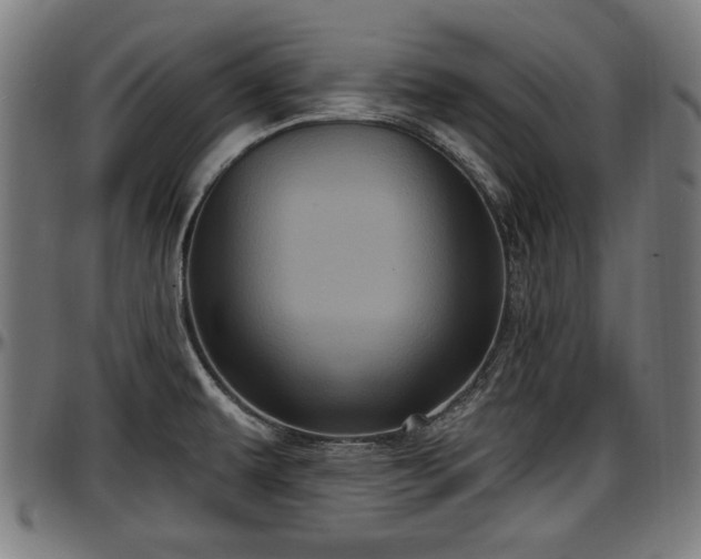 X0000097471479200802291259