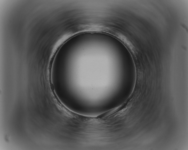 X0000097471480200802291259