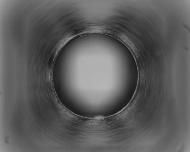 X0000097471481200802291259