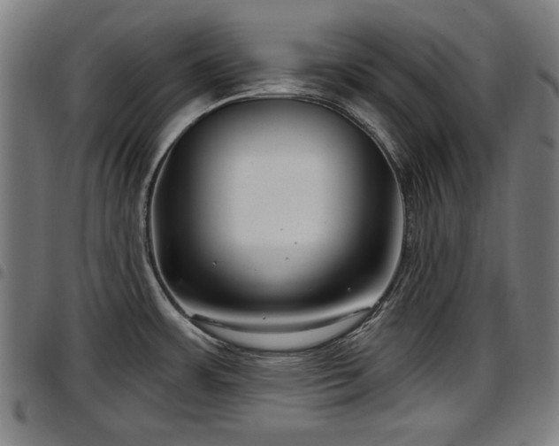X0000097471483200802291259