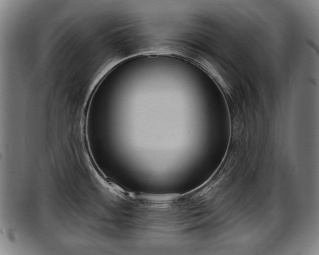 X0000097471484200802291258