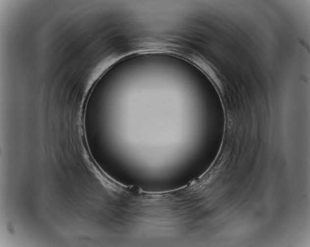 X0000097471485200802291258