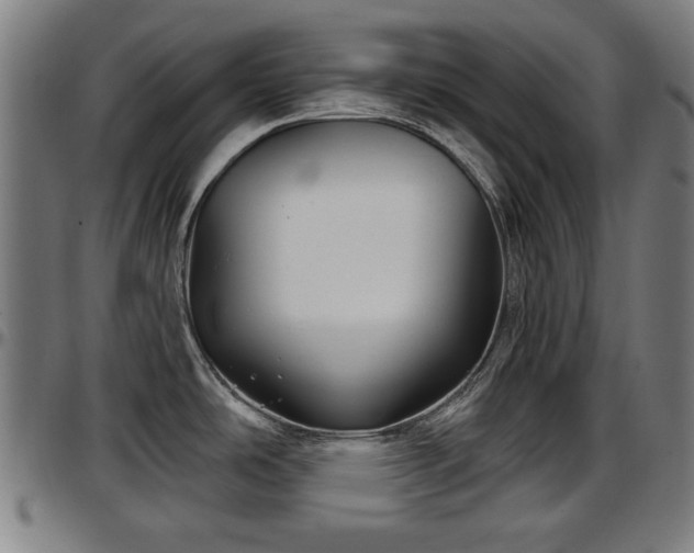 X0000097471486200802291258