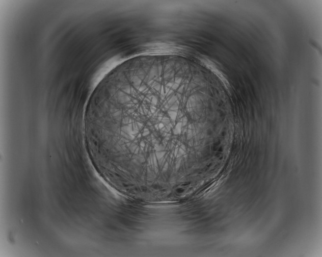 X0000097471487200802291258