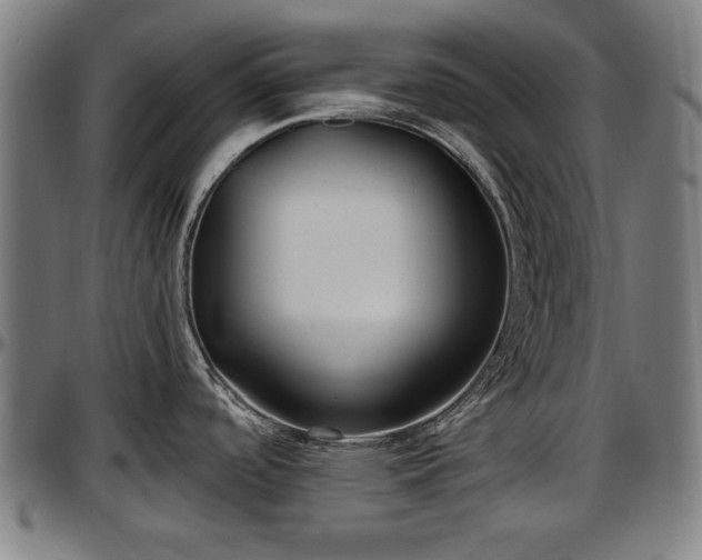 X0000097471488200802291258