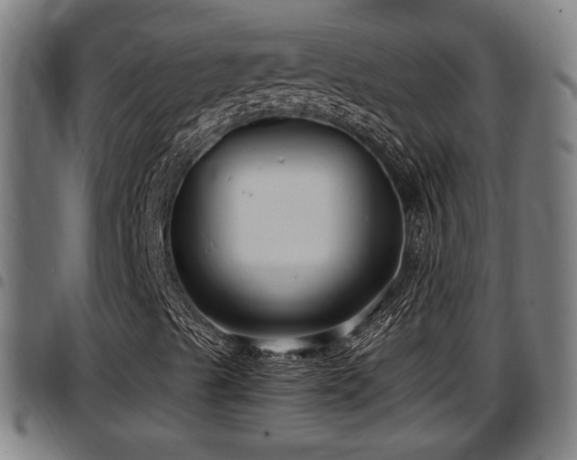 X0000097471489200802291258