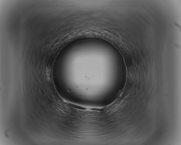 X0000097471490200802291258
