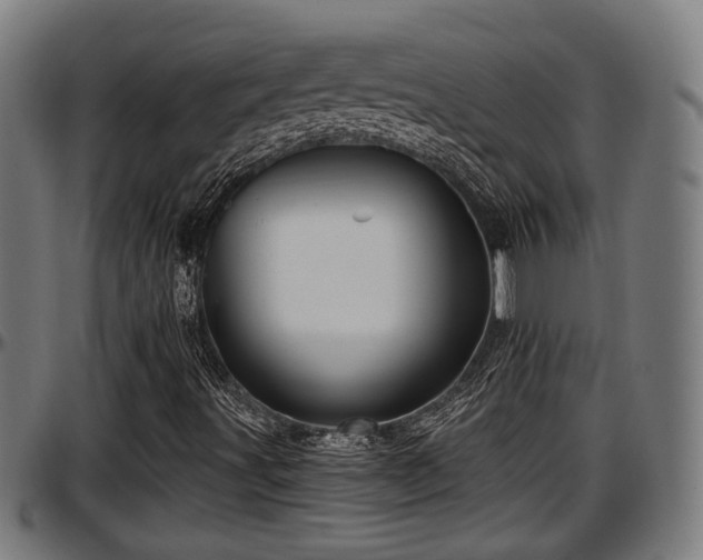 X0000097471491200802291258