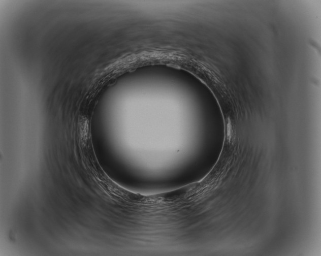 X0000097471492200802291258