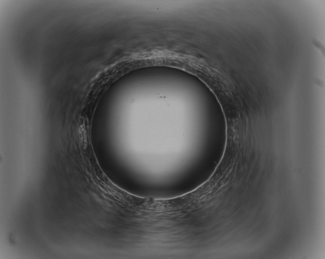 X0000097471493200802291258