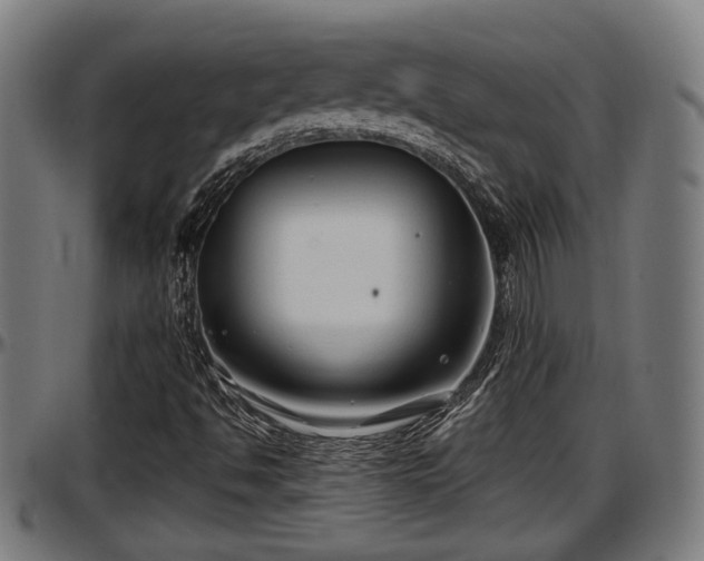 X0000097471494200802291258