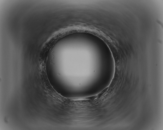 X0000097471495200802291258