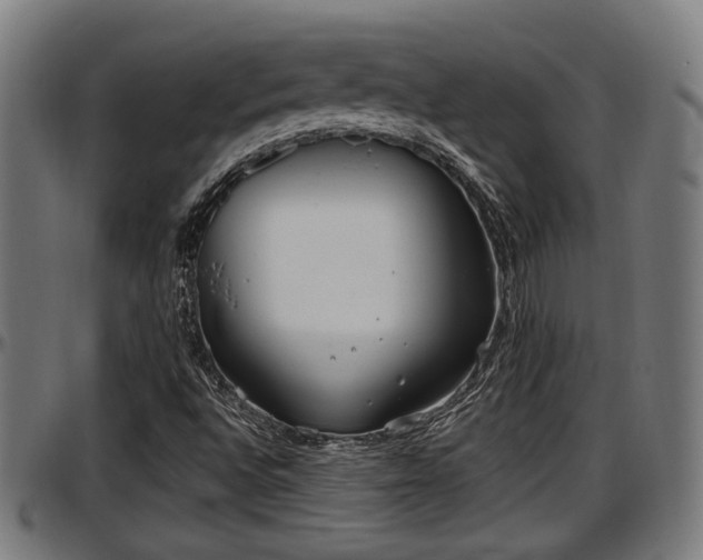 X0000097471496200802291258