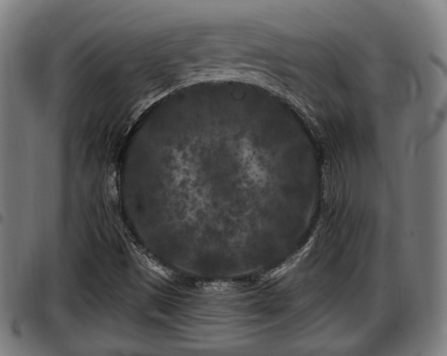 X0000097471497200802291258