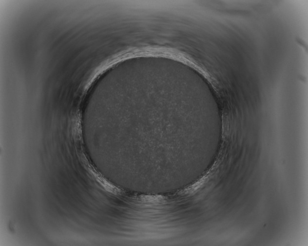 X0000097471498200802291258