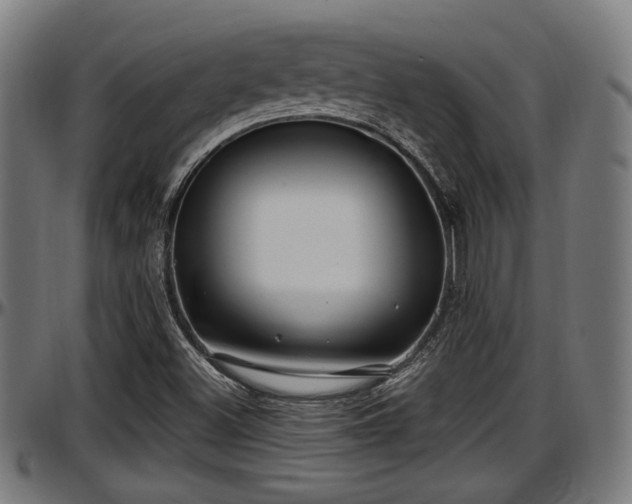 X0000097471500200802291258