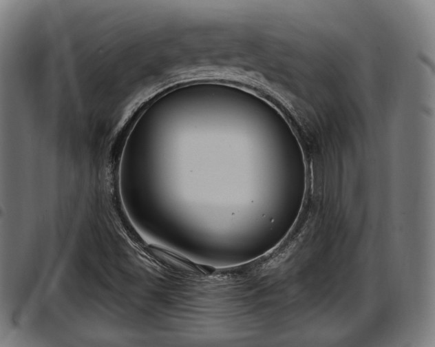 X0000097471501200802291258