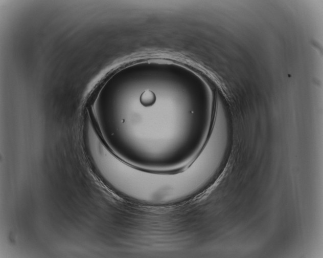 X0000097471502200802291258
