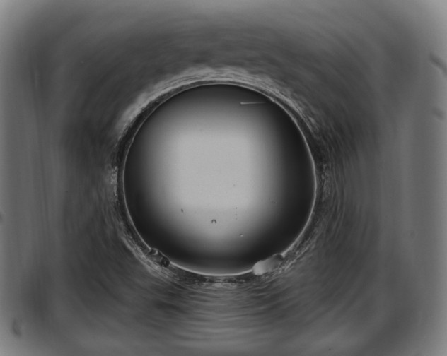 X0000097471503200802291258