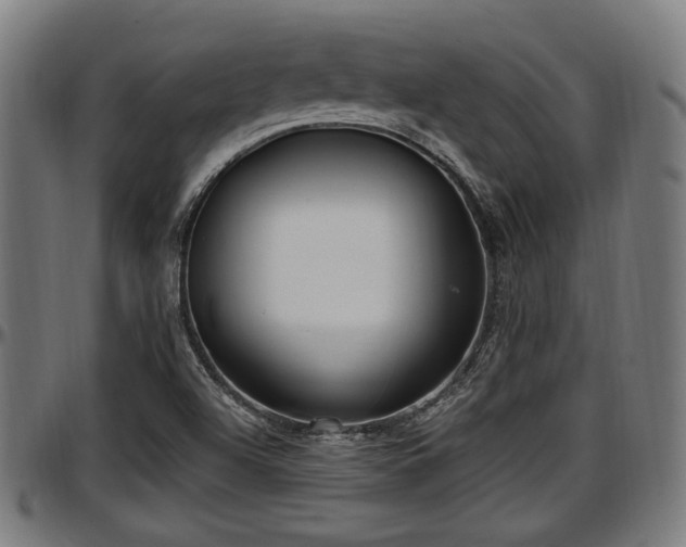 X0000097471504200802291258
