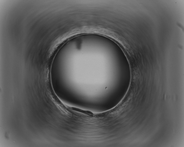 X0000097471507200802291258