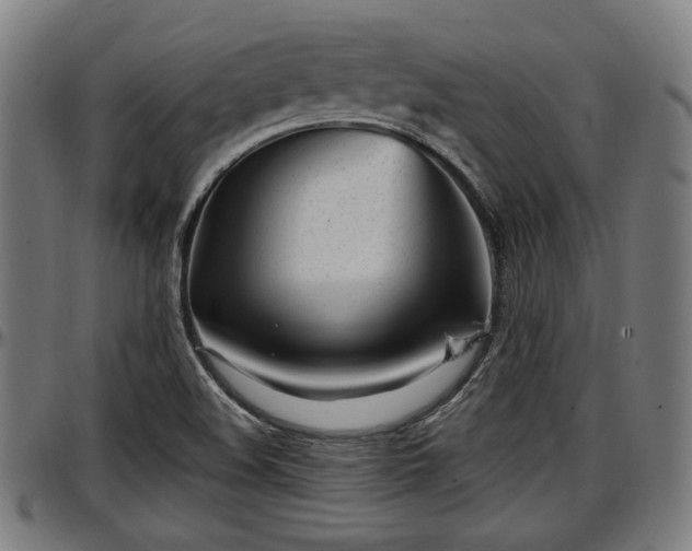 X0000097471508200802291258