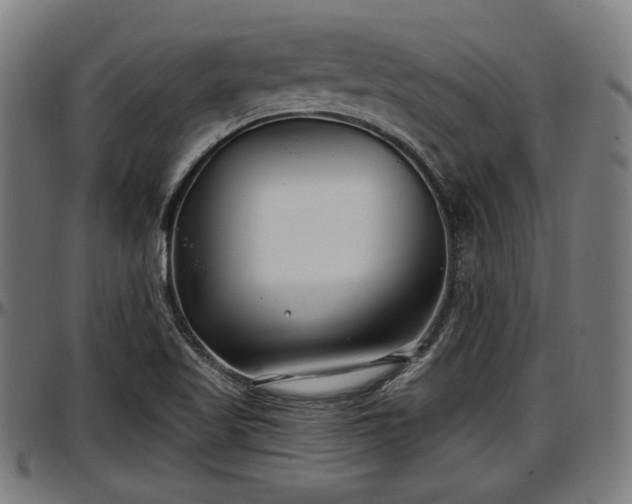 X0000097471509200802291258