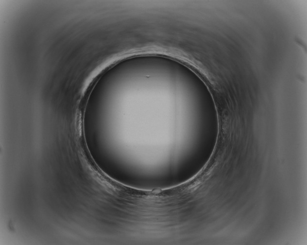 X0000097471510200802291258