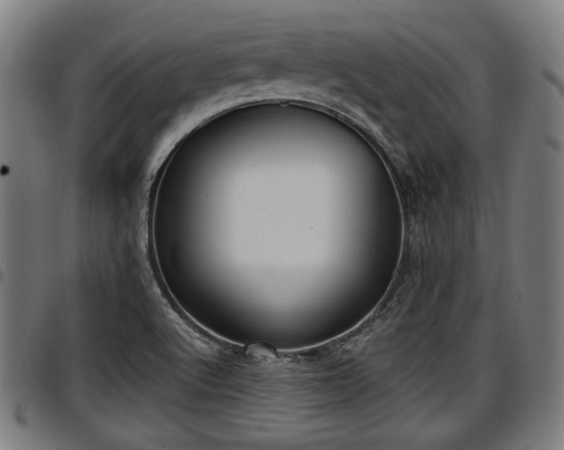 X0000097471512200802291258
