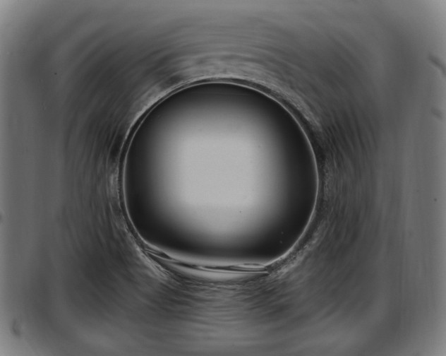 X0000097471513200802291258
