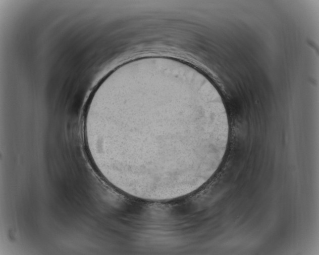 X0000097471514200802291258