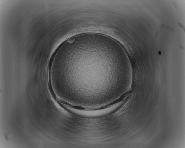 X0000097471515200802291258