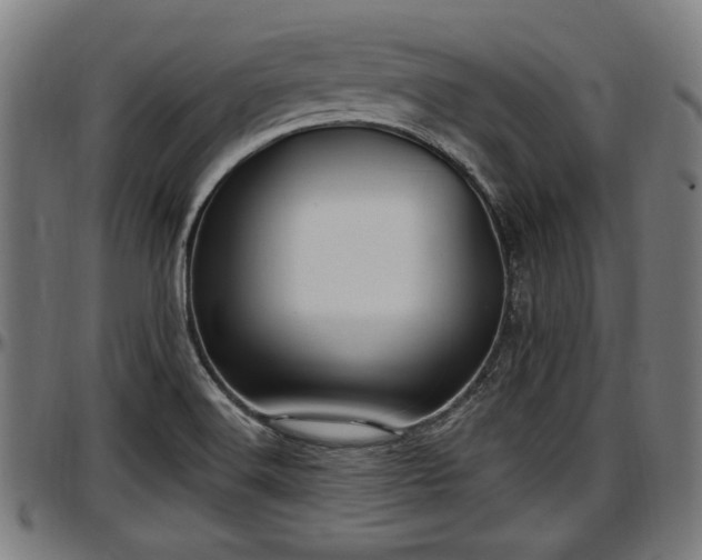 X0000097471516200802291258