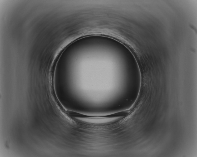 X0000097471517200802291258