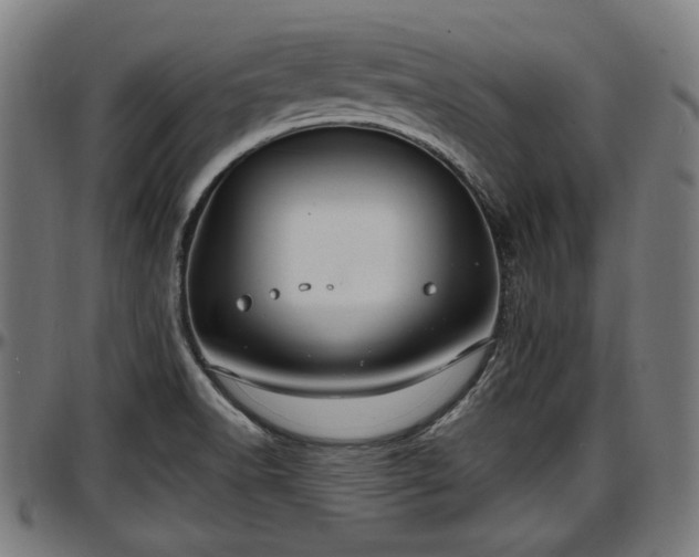 X0000097471518200802291258