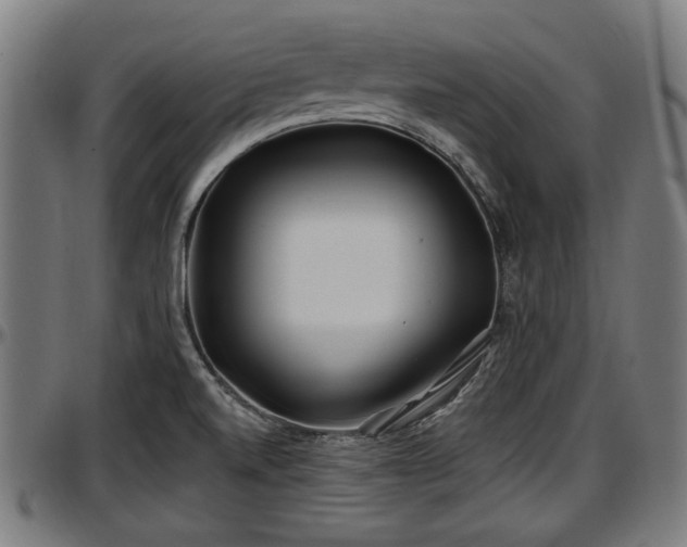X0000097471520200802291258