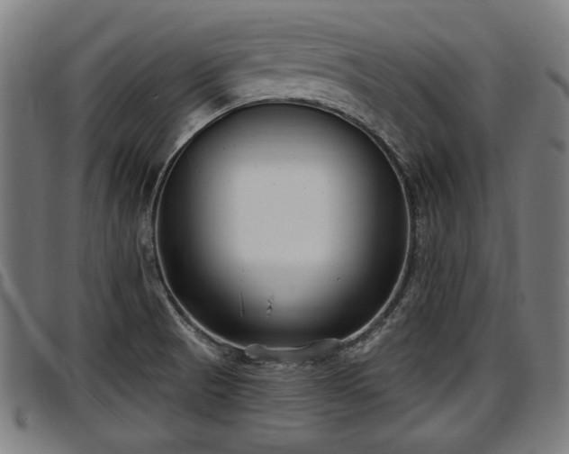 X0000097471521200802291258