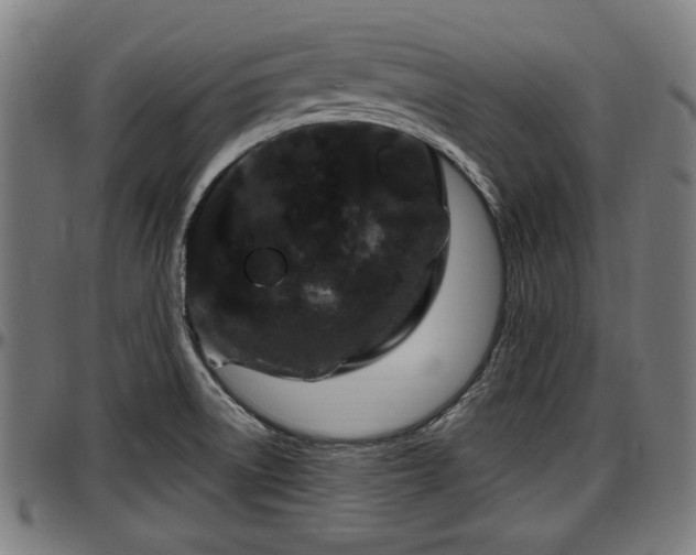 X0000097471522200802291258