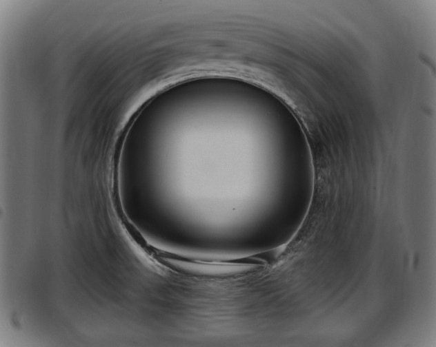 X0000097471523200802291258