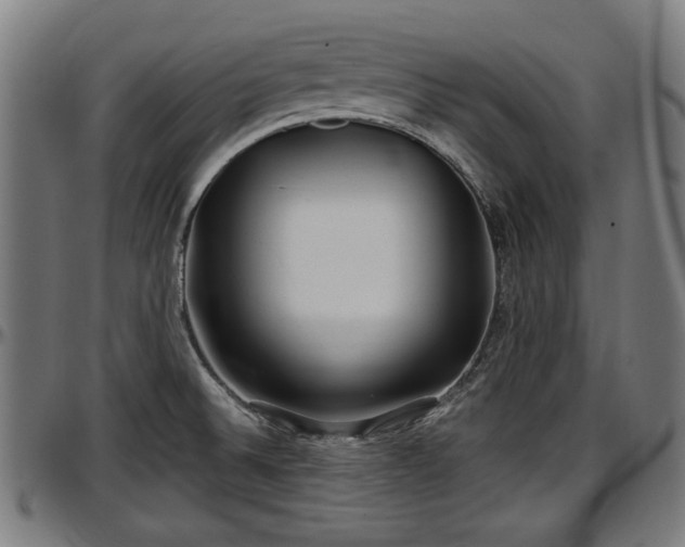 X0000097471524200802291258