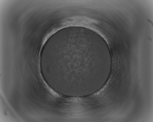 X0000097471525200802291258