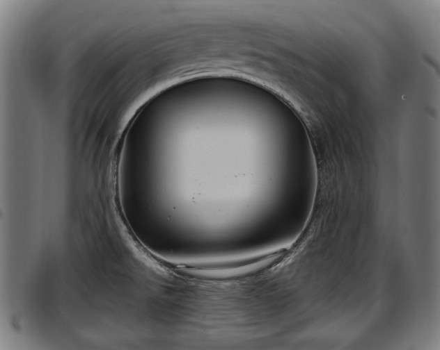 X0000097471526200802291258