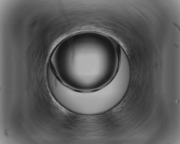 X0000097471527200802291258