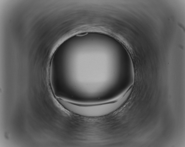 X0000097471528200802291258