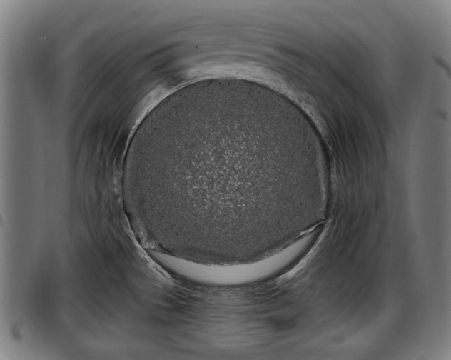 X0000097471529200802291258