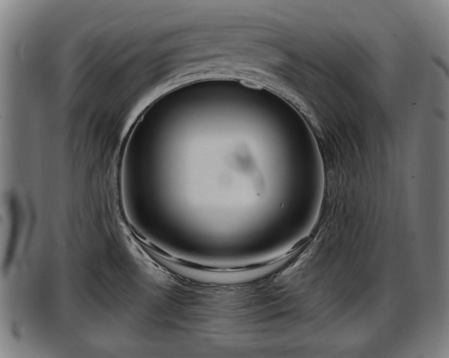 X0000097471530200802291258