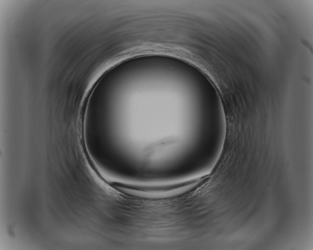 X0000097471531200802291258