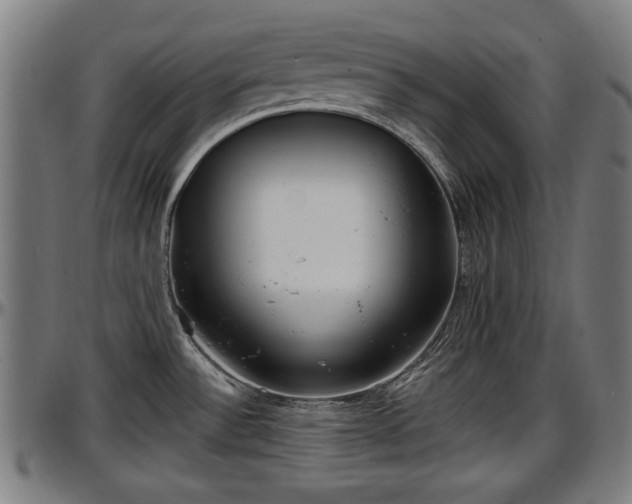 X0000097471532200802291258