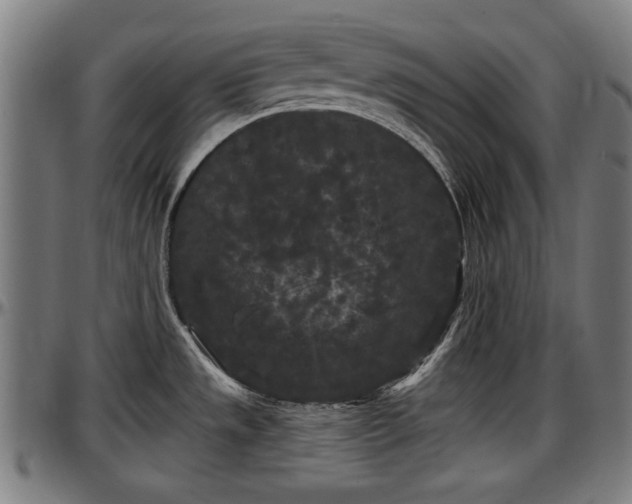 X0000097471533200802291258