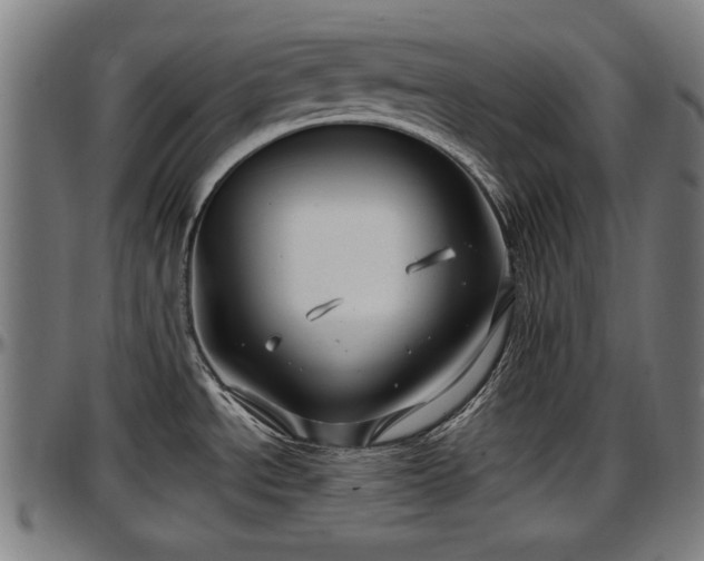 X0000097471534200802291258